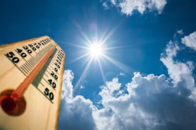 Go Wild This Summer with Our Fantastic Summer Sport Suggestions