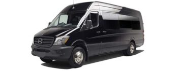 12 Passenger Sprinter Party Bus