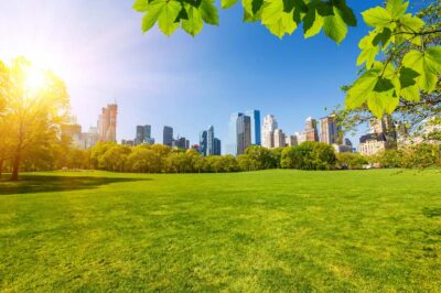 5 Reasons to visit New York in Summer