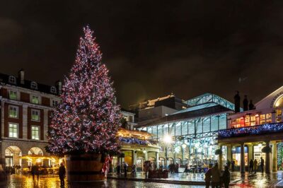 The Top 3 New York City Christmas Tours and Displays