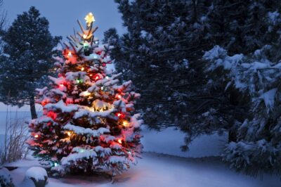 Winter Holiday Safety Tips