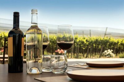 4 Tips for a Perfect Wine Tour
