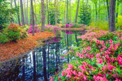 4 Beautiful Gardens to Visit this Spring in Hudson Valley