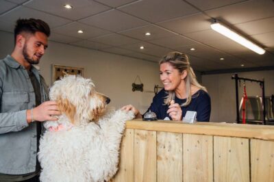 4 Best Pet Friendly Hotels in New York